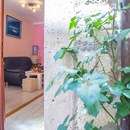 젤제니크 3* 두브로브니크